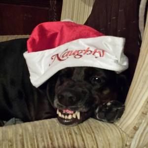 Meet your Posher, Jayme